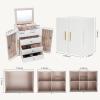 imageDajasan 4Layer Large Jewelry Box  Velvet Jewelry Case