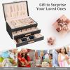 image:imageDajasan Jewelry Boxes for Women Jewelry Organizers and Storage with 2 Drawers Large Jewelry Organizer Box for Necklaces Rings Earrings Bracelets Gift Idea Modern Style BeigeBlack